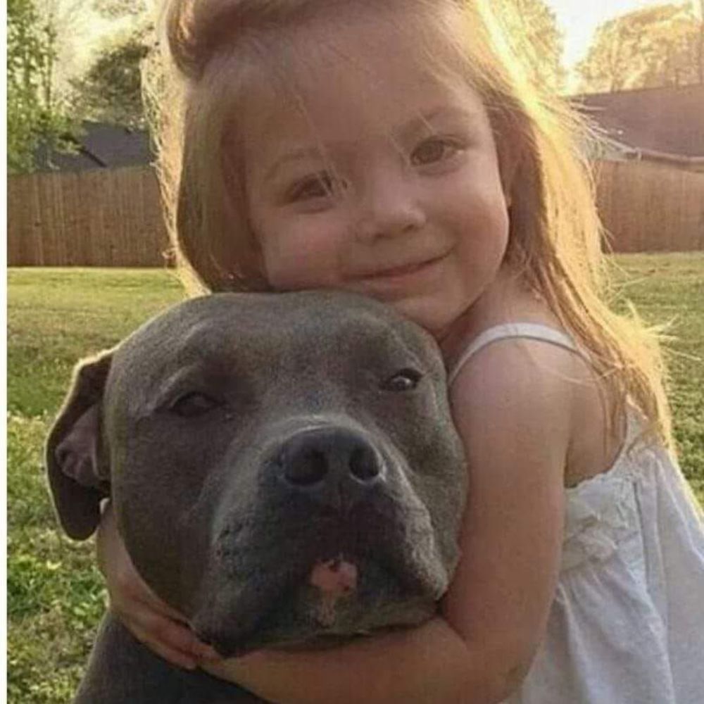 Meet your Posher, Kris